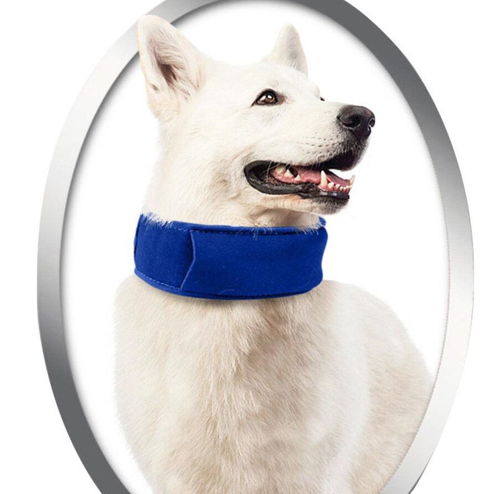 Pet heatstroke cooling collar - Image 5