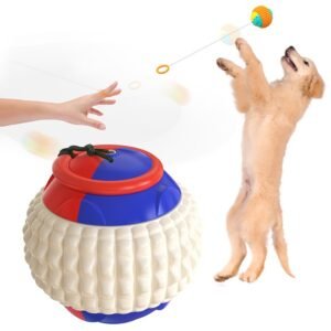 New Pet Draw Rope Hand Throwing Ball ABS Grinding Teeth Resistant Chew Dog Training Ball