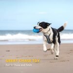 RugbyChew™ Tough Rubber Dog Toy - Image 4