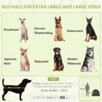 Portable Pop-Up Dog Tent for Large Dogs – Outdoor Shade Shelter with Carry Bag - Image 5