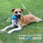 RugbyChew™ Tough Rubber Dog Toy - Image 8