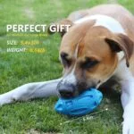 RugbyChew™ Tough Rubber Dog Toy