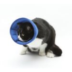Soft Recovery Collar for Dogs & Cats – Comfortable Protective Cone - Image 4