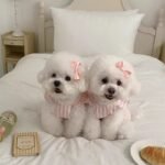 Cute Princess Dog Dress with Bow – Soft Striped Pet Outfit - Image 7