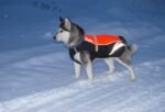 Reflective Waterproof Winter Dog Jacket - Image 6