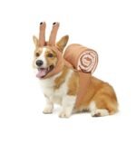 Funny Snail Costume for Dogs & Cats - Image 5