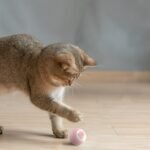 Rechargeable Self-Moving Rolling Ball Cat Toy – Interactive Motion Toy - Image 4