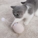 Interactive Cat Egg Toy – Rolling Puzzle Ball with Dangling Teasers - Image 9