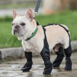 Waterproof Dog Boots – Adjustable Anti-Slip Paw Protectors for All-Weather Adventures - Image 8