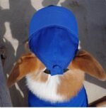 Adjustable Sun Protection Pet Cap for Dogs & Cats - Image 4