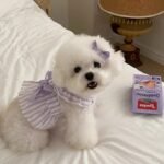 Cute Princess Dog Dress with Bow – Soft Striped Pet Outfit - Image 4