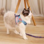 Escape-Proof Reflective Cat Harness & Leash Set for Safe Outdoor Walks - Image 5
