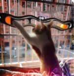 Interactive Cat Track Ball Toy – Motion-Activated Chase & Play Toy - Image 2