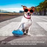 RugbyChew™ Tough Rubber Dog Toy - Image 5