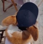 Adjustable Sun Protection Pet Cap for Dogs & Cats - Image 7